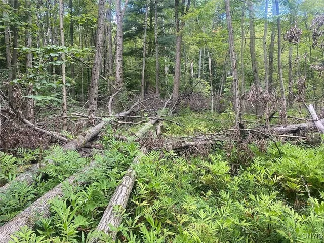 $59,900 | Oramel Hill Road, Caneadea, NY 14717