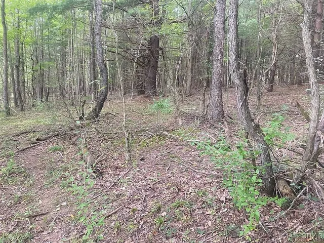 $59,900 | Oramel Hill Road, Caneadea, NY 14717