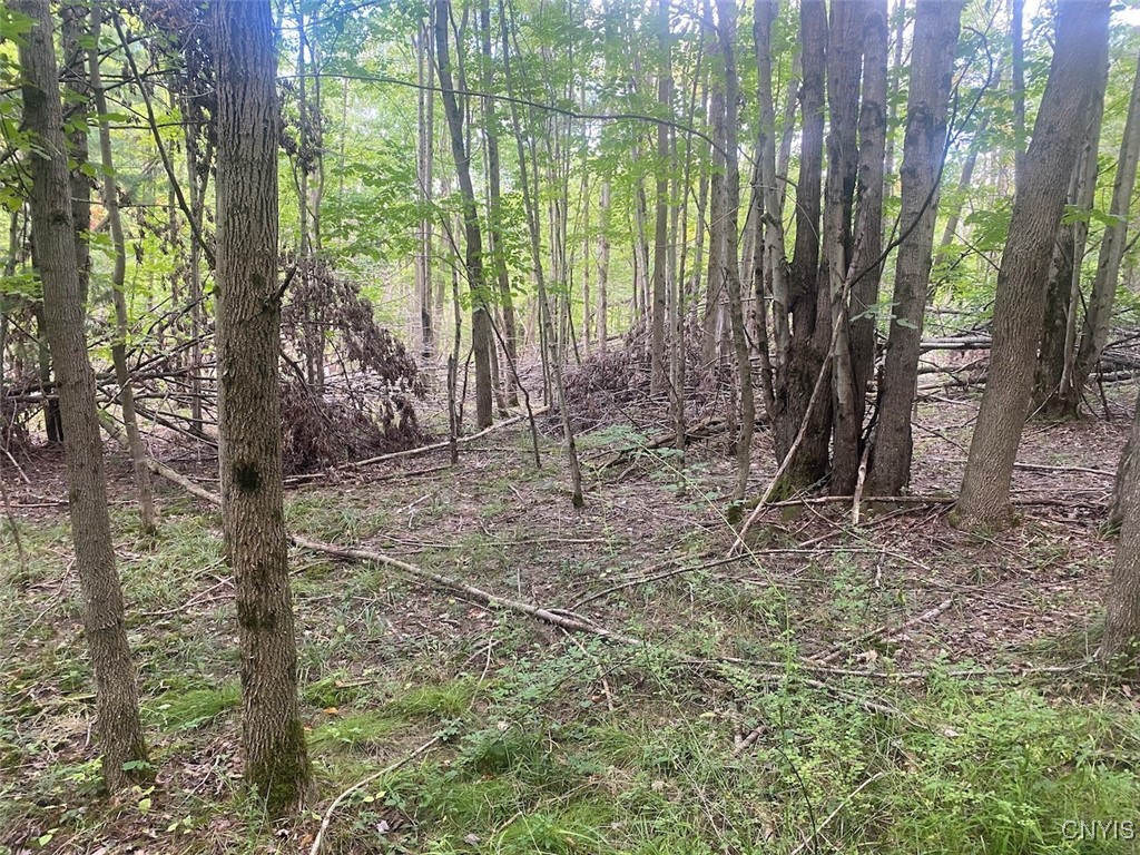 Oramel Hill Road Caneadea, NY 14717 - Photo 10 of 14