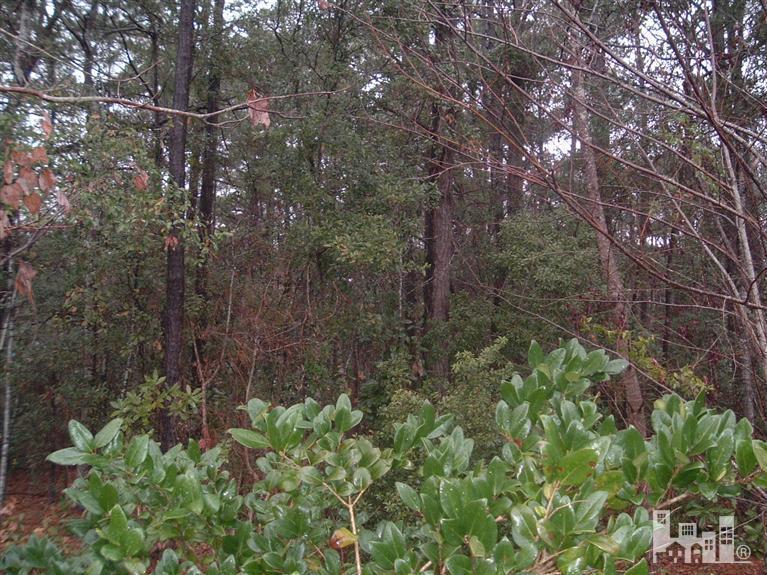 0 Sandy Bend Road Rocky Point, NC 28457 - Photo 1 of 2 Primary Photo