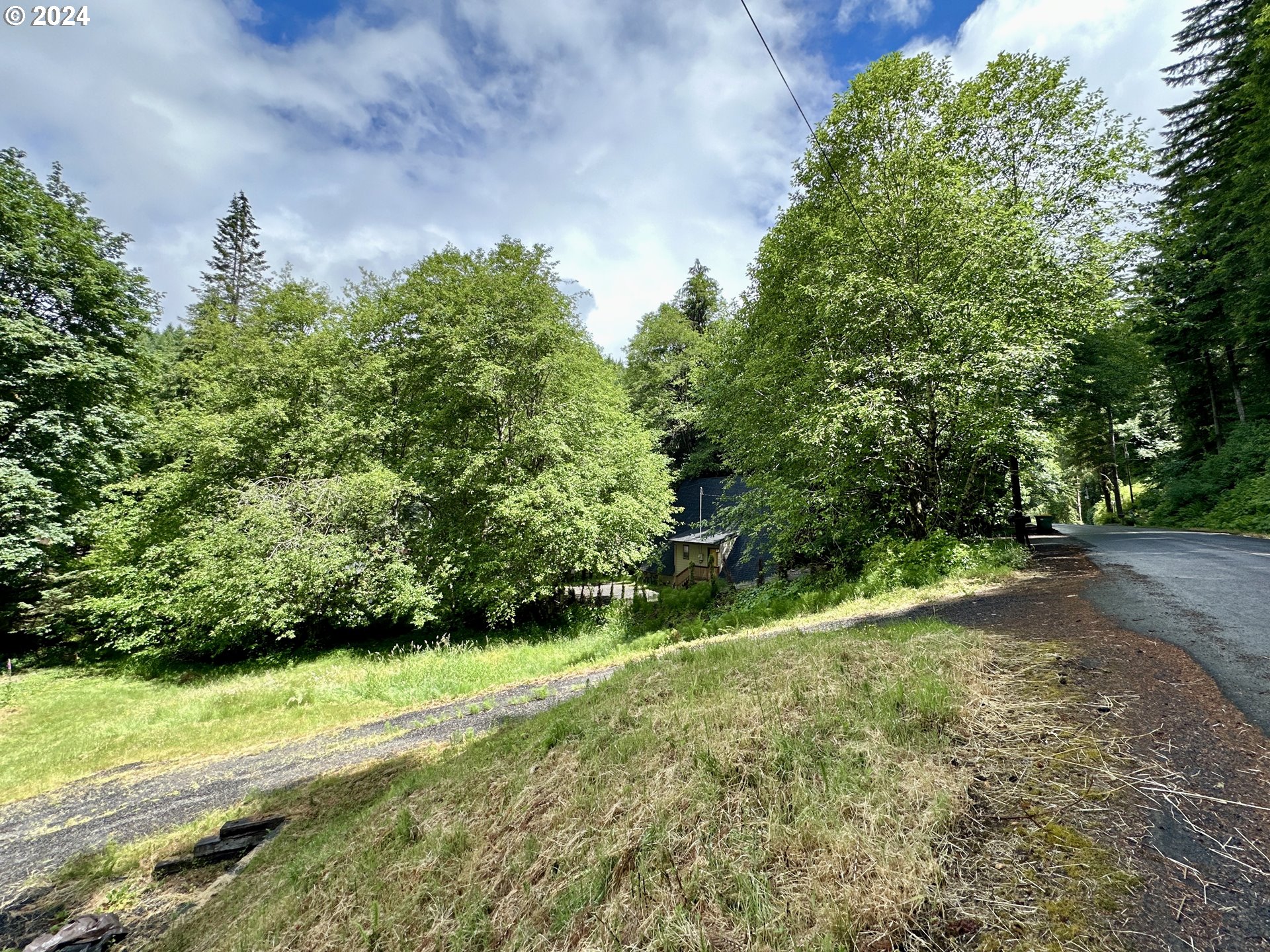 71529 Fishhawk Road Birkenfeld, OR 97016 - Photo 2 of 17