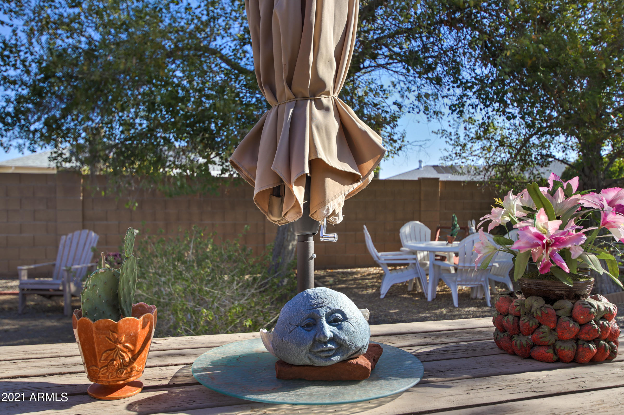 11048 West Oak Ridge Road Sun City, AZ 85351 - Photo 55 of 55 11048 W Oak Ridge Rd-63