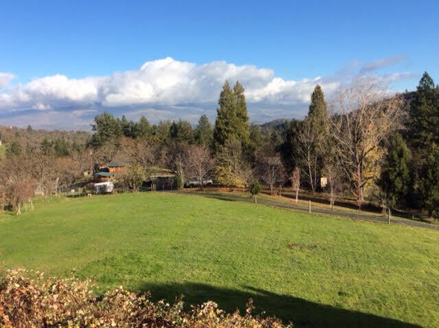 7017 Dark Hollow Road Medford, OR 97501 - Photo 56 of 74 Front pasture