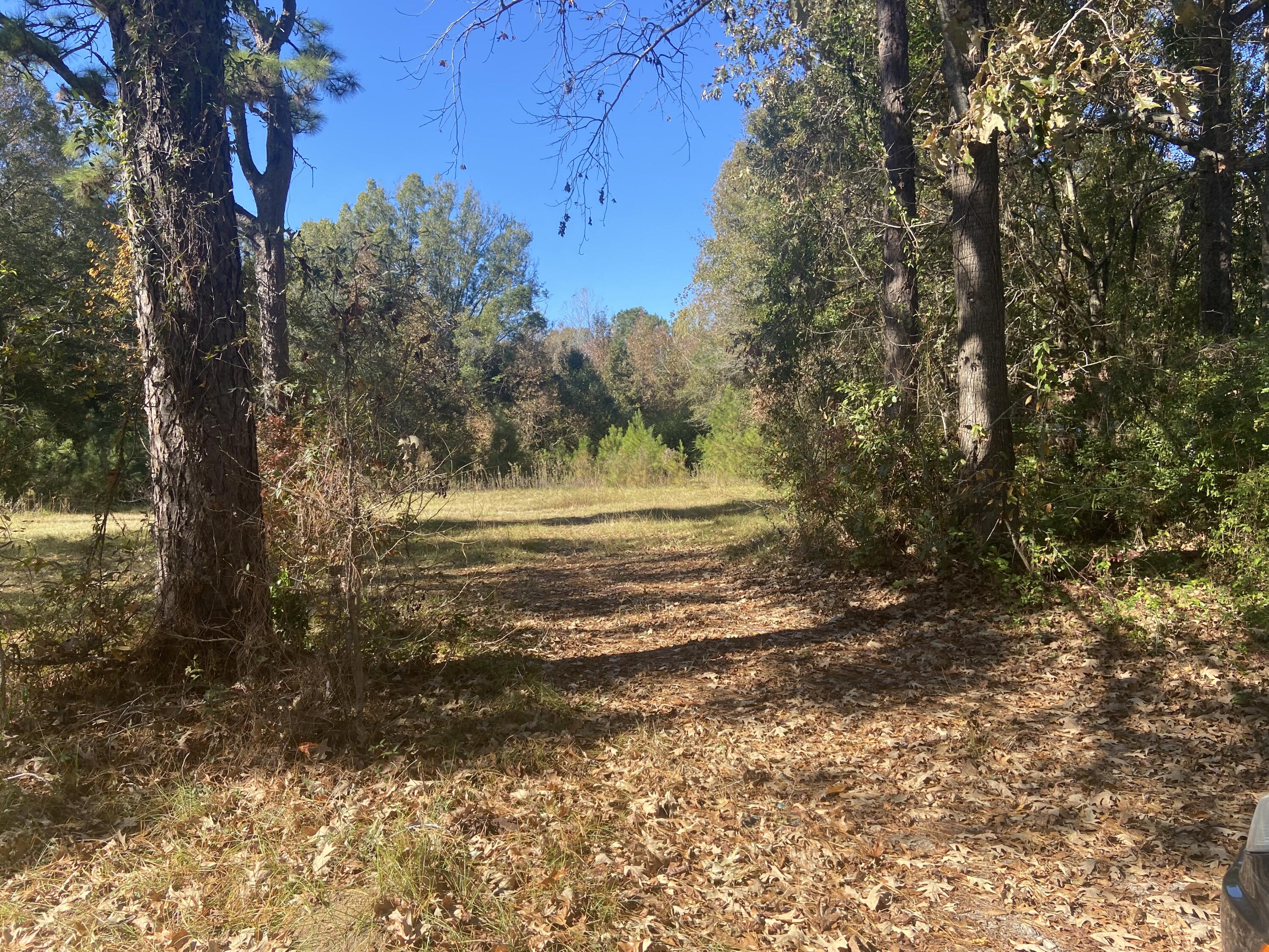983 Royle Road Ladson, SC 29456 - Photo 1 of 3 841F12D7-3CB0-4EBD-8D58-C00601F86CBD