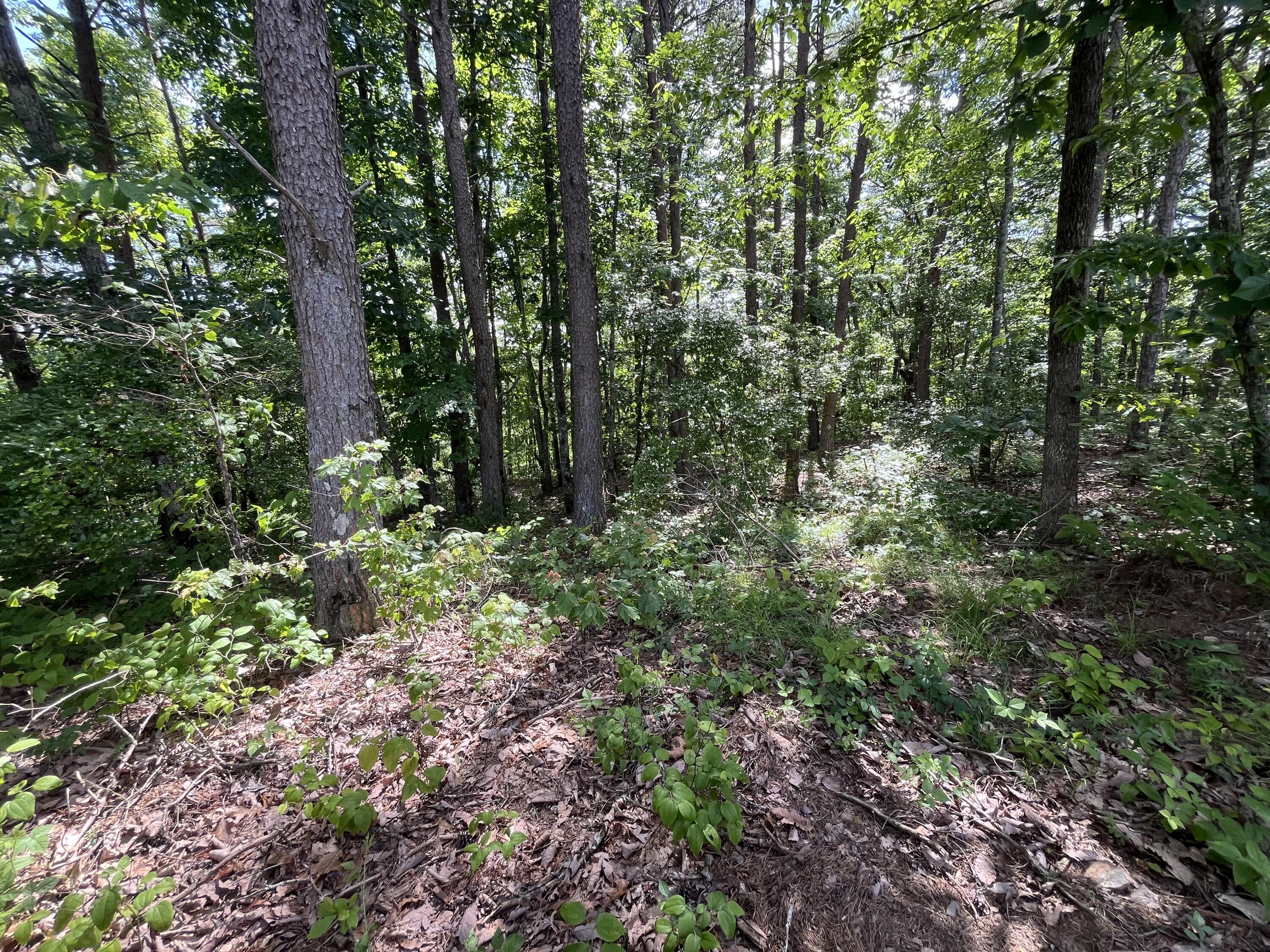 240 Hwy 399 Road Dunlap, TN 37327 - Photo 14 of 56 Photo May 29 2024, 4 16 35 PM