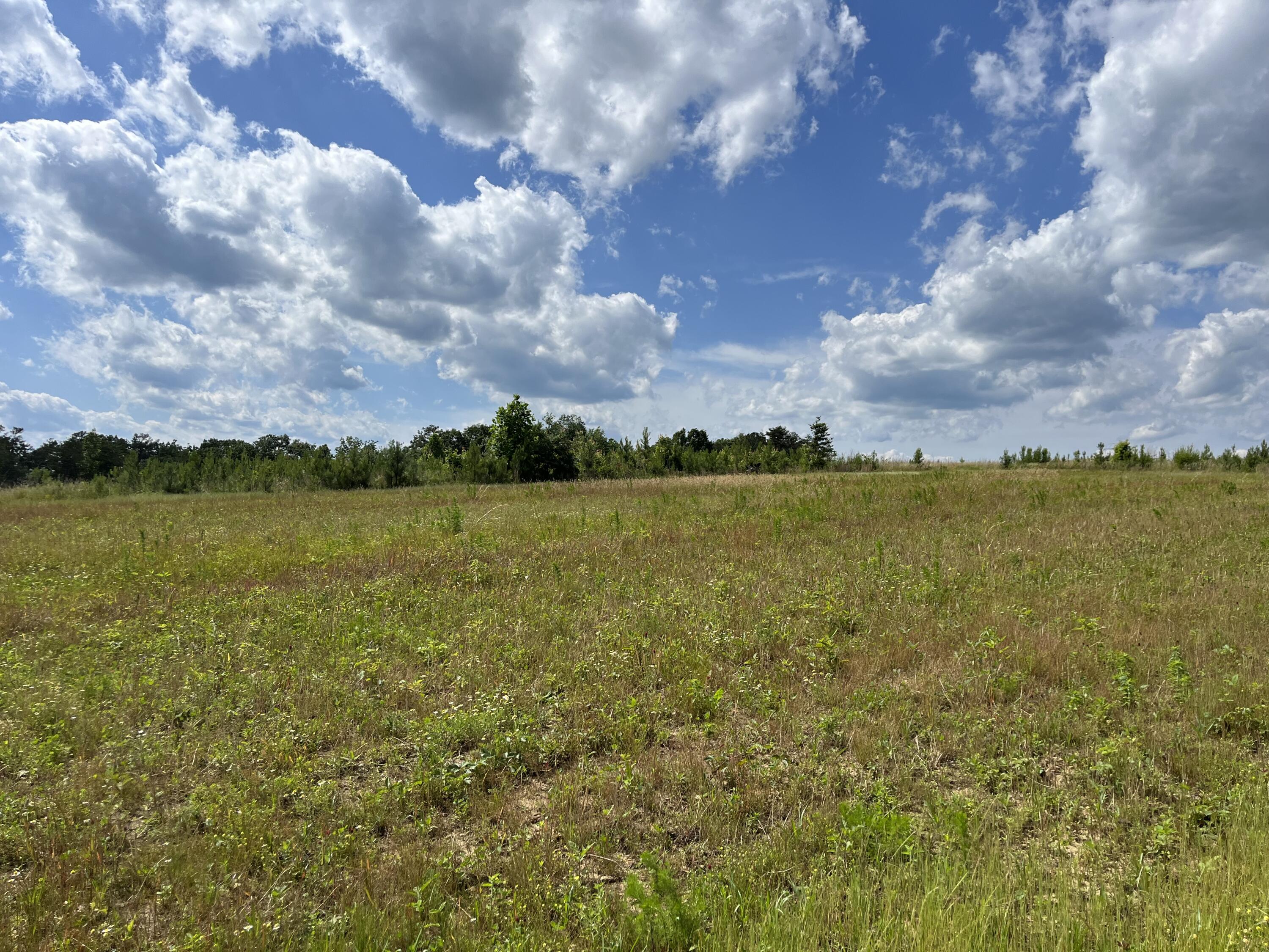 240 Hwy 399 Road Dunlap, TN 37327 - Photo 20 of 56 Photo May 29 2024, 4 26 15 PM