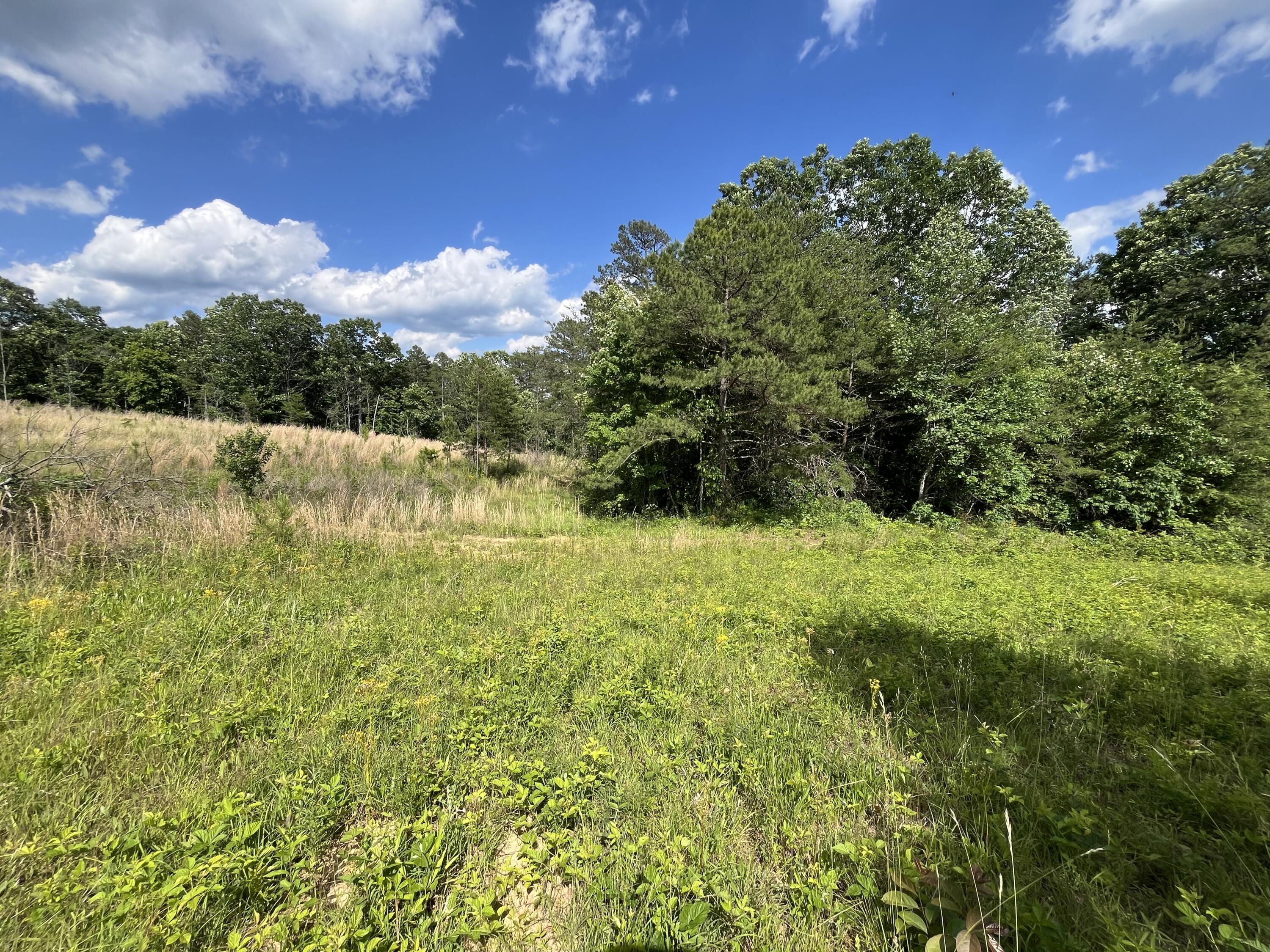 240 Hwy 399 Road Dunlap, TN 37327 - Photo 24 of 56 Photo May 29 2024, 4 27 15 PM