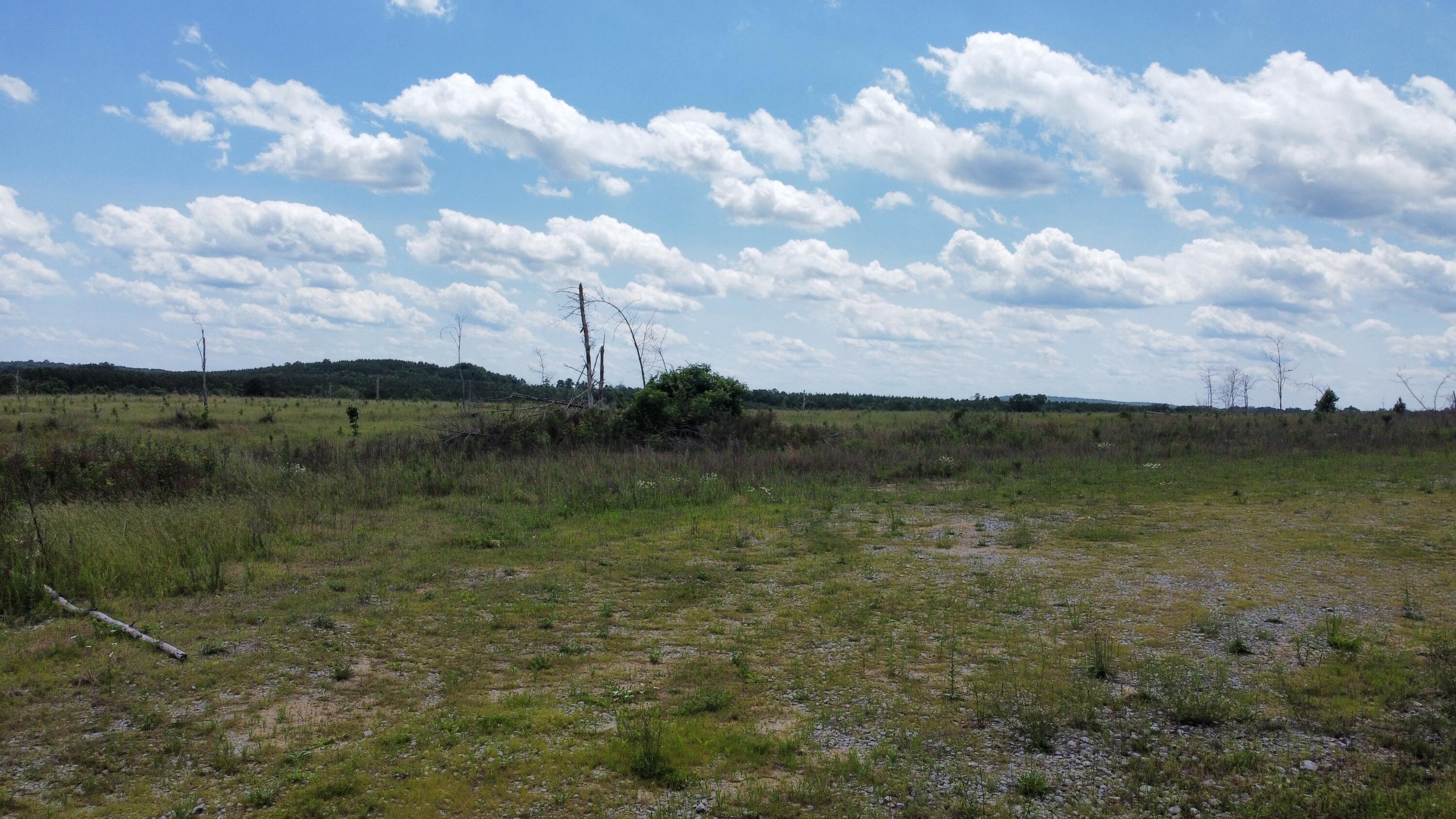 240 Hwy 399 Road Dunlap, TN 37327 - Photo 45 of 56 Photo May 30 2024, 11 51 52 AM (21)