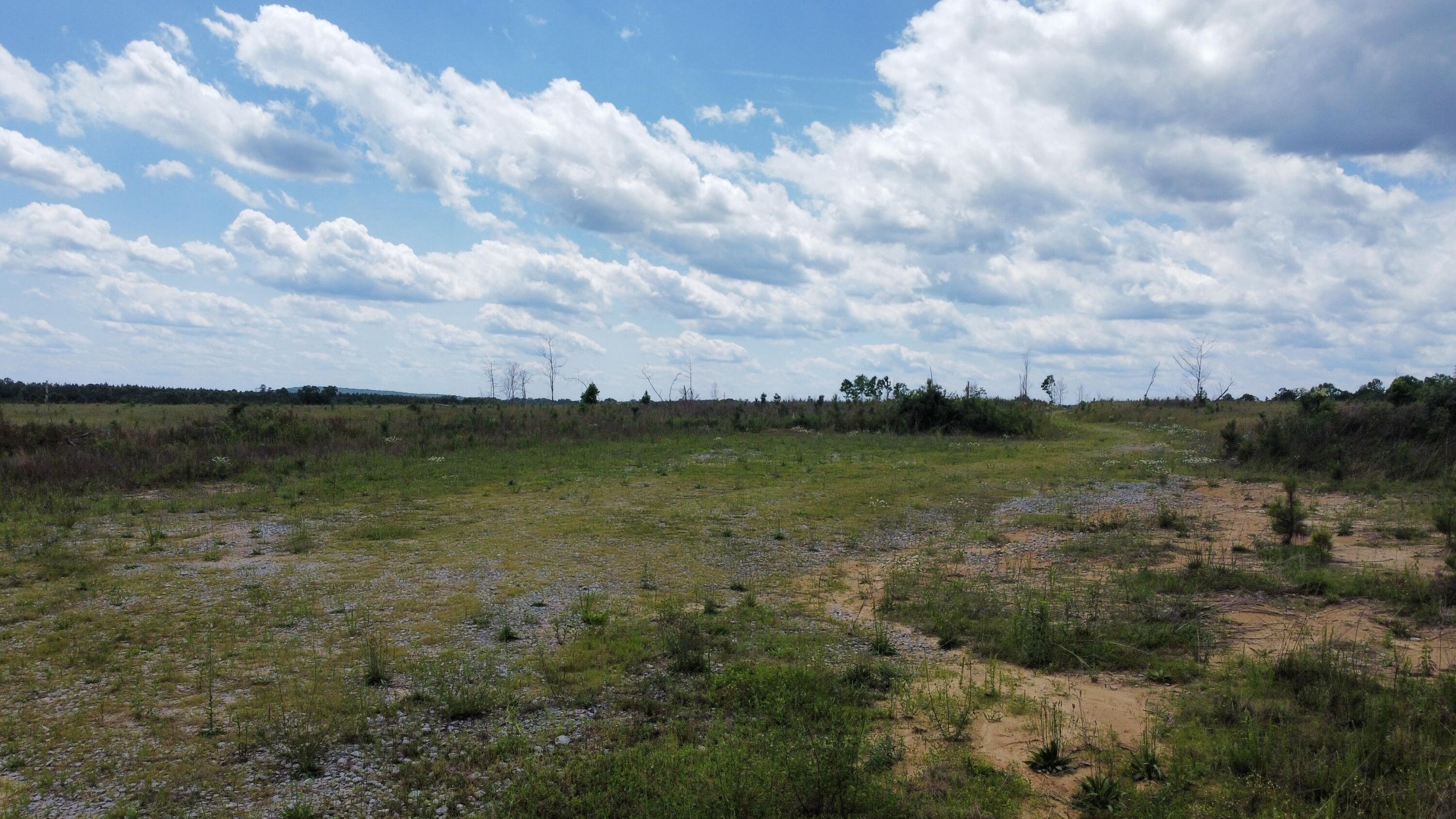 240 Hwy 399 Road Dunlap, TN 37327 - Photo 46 of 56 Photo May 30 2024, 11 51 52 AM (22)