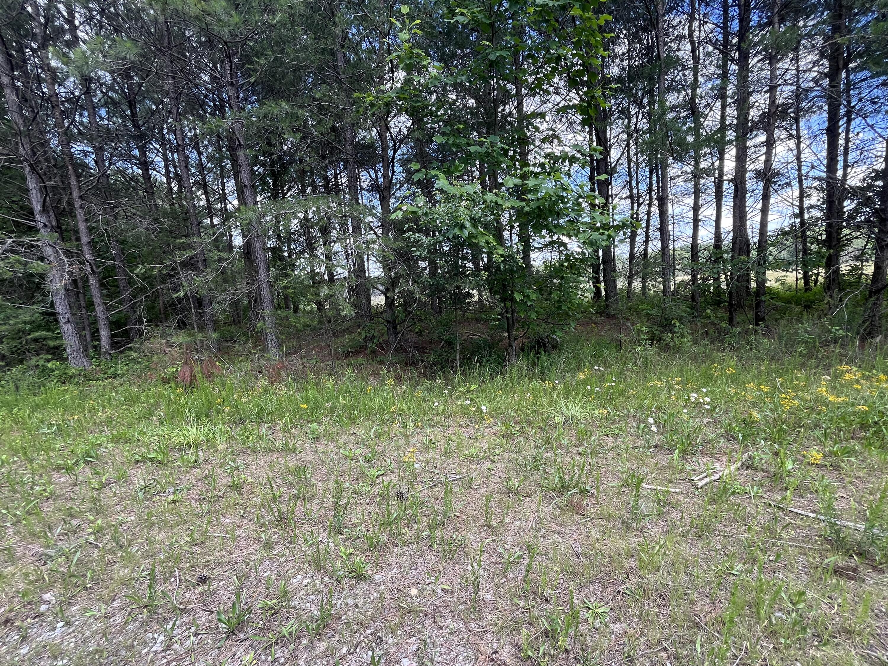 240 Hwy 399 Road Dunlap, TN 37327 - Photo 8 of 56 Photo May 29 2024, 4 09 06 PM