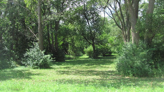 a view of outdoor space and green space