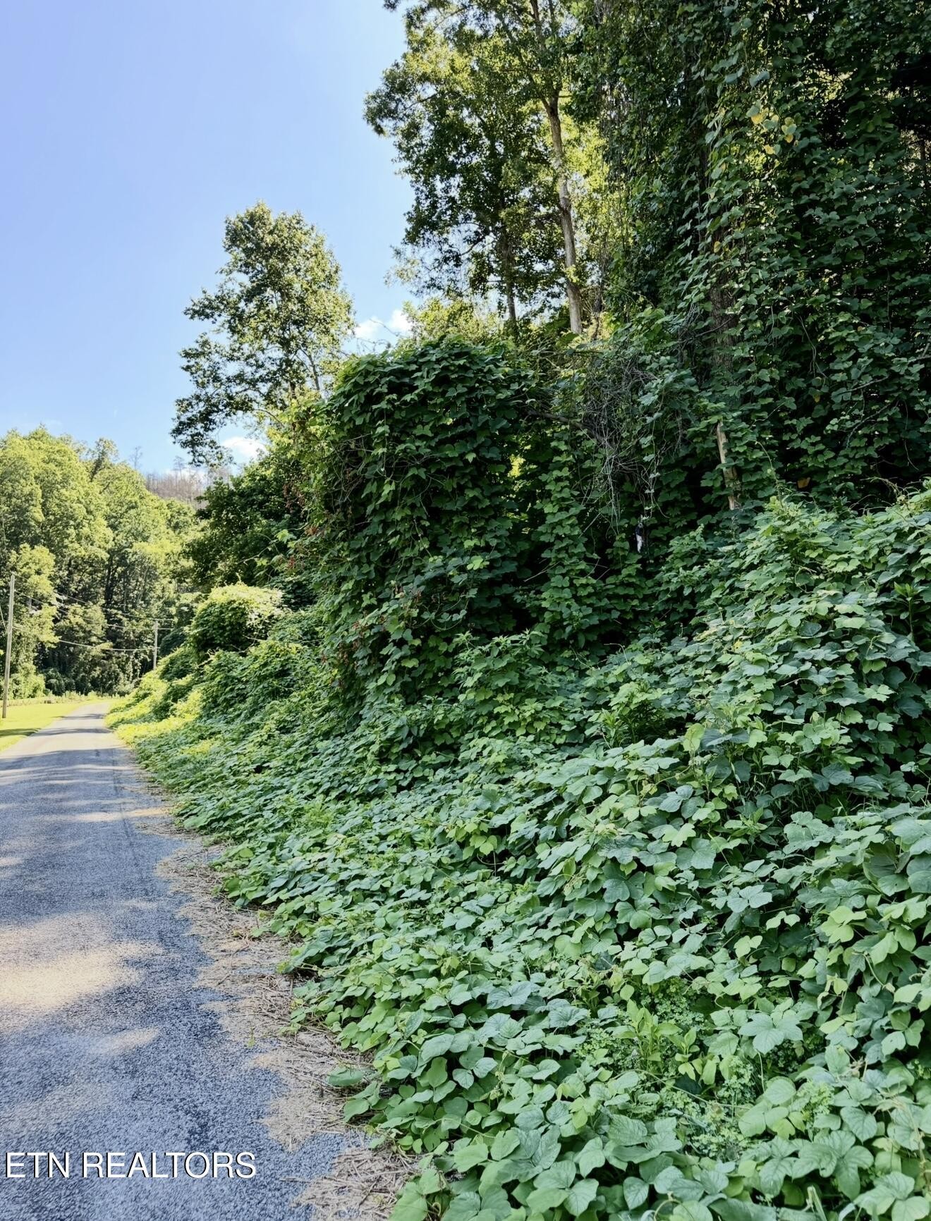 0 Lake Heights Road Tellico Plains, TN 37385 - Photo 2 of 11 Gallery Image 2
