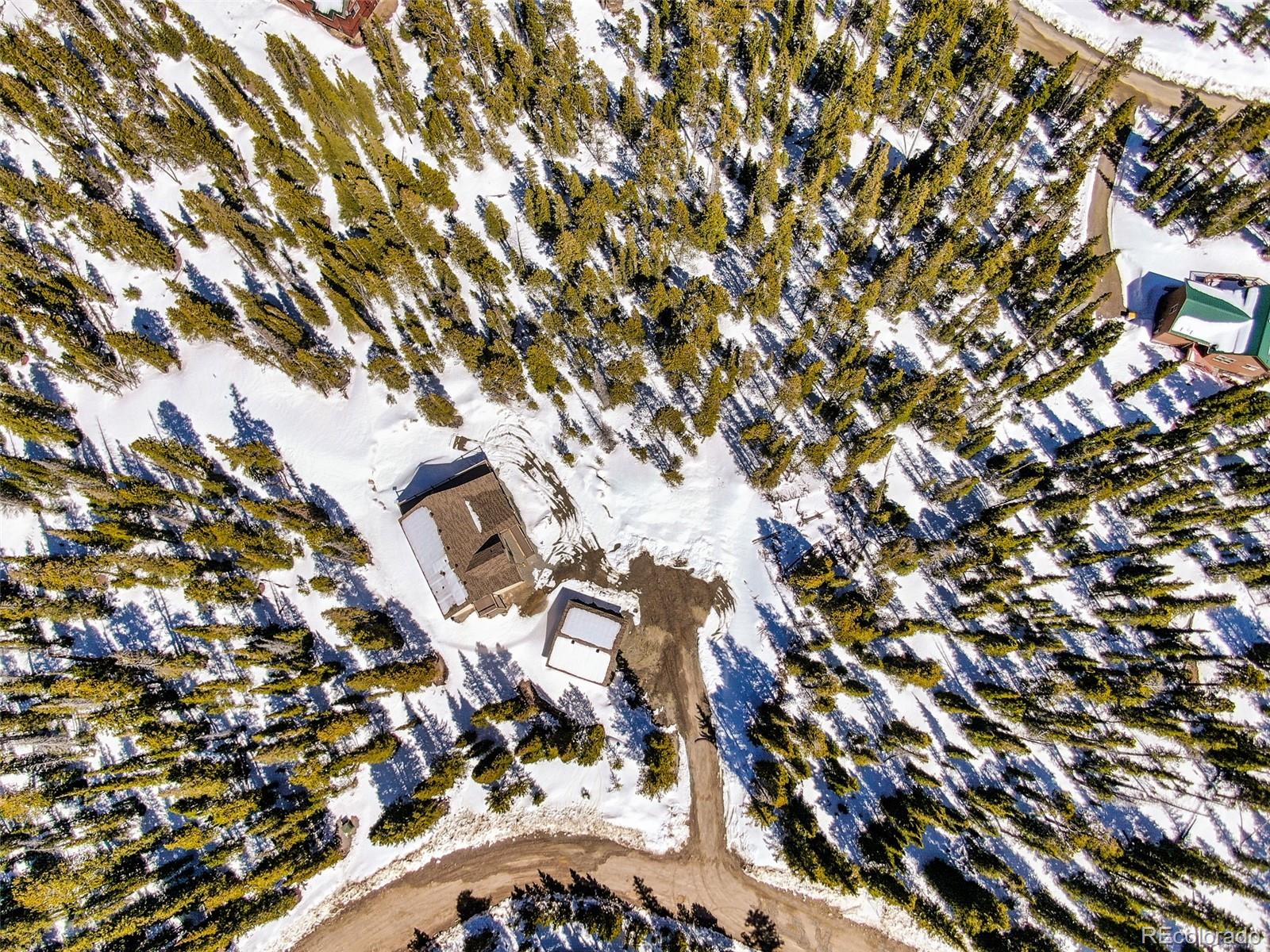 526 Porcupine Road Fairplay, CO 80440 - Photo 43 of 46 a view of tree