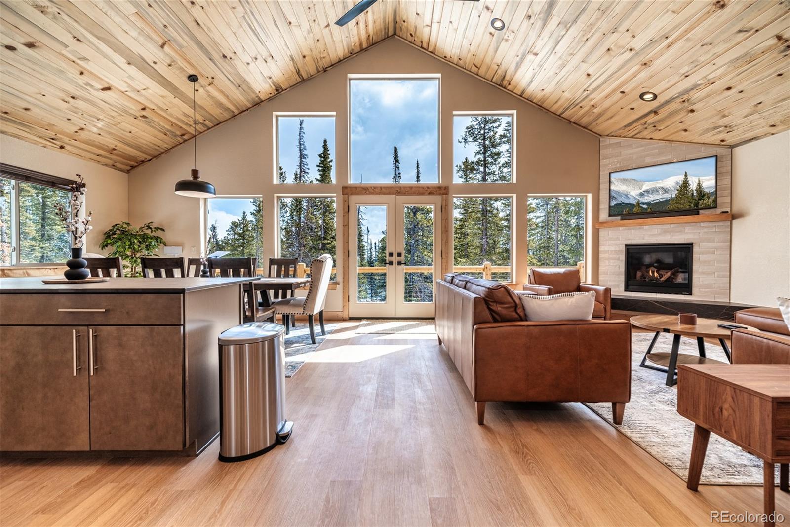 526 Porcupine Road Fairplay, CO 80440 - Photo 6 of 46 a living room with furniture a fireplace and a floor to ceiling window