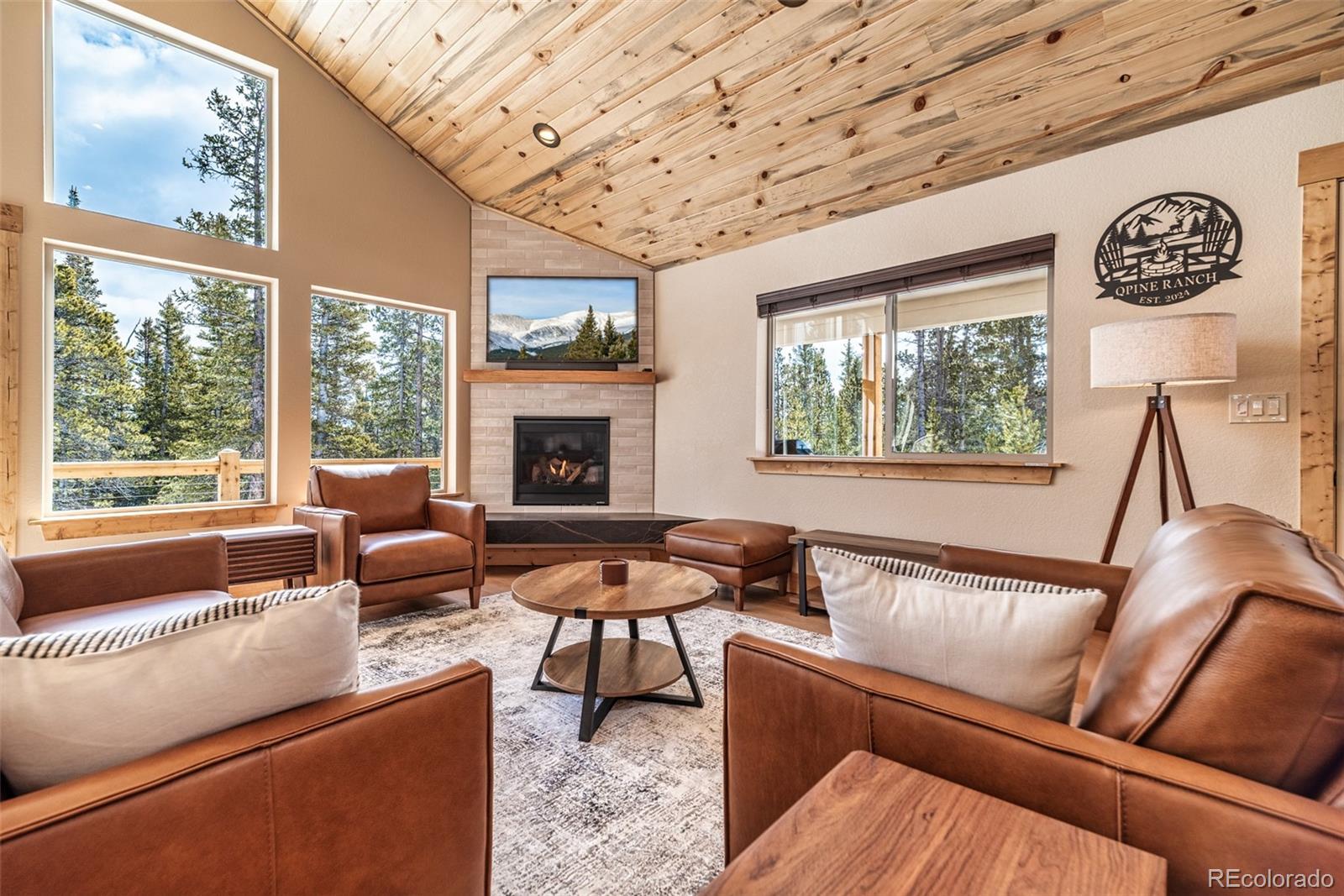 526 Porcupine Road Fairplay, CO 80440 - Photo 8 of 46 a living room with furniture a flat screen tv and a fireplace