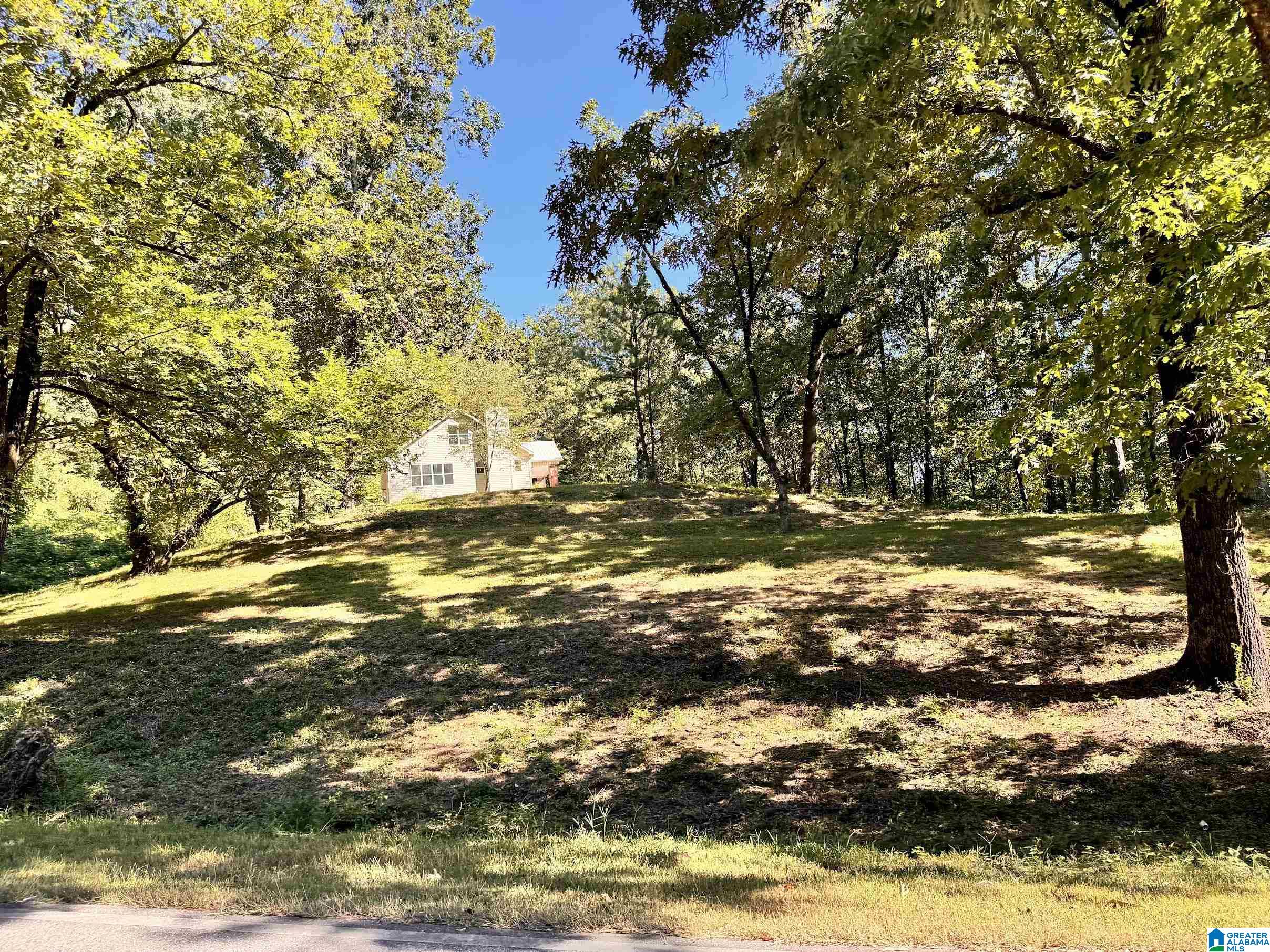 2517 Sayers Road Fultondale, AL 35068 - Photo 14 of 18