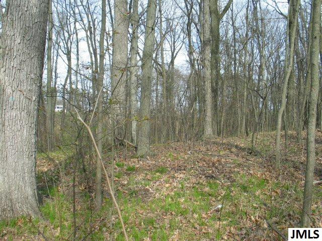 9323 Baker Road, Unit LOT 10 TERRACEVIEW Jerome, MI 49249 - Photo 3 of 5 Photo 3
