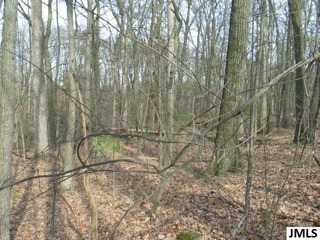 9323 Baker Road, Unit LOT 10 TERRACEVIEW Jerome, MI 49249 - Photo 4 of 5 Photo 4