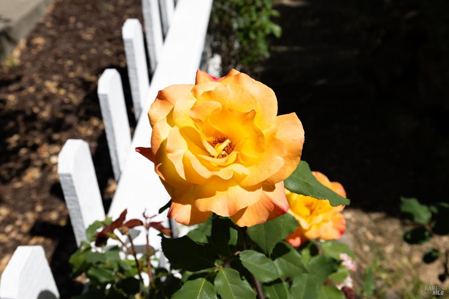 1440 Tammy Way Santa Rosa, CA 95401 - Photo 3 of 40