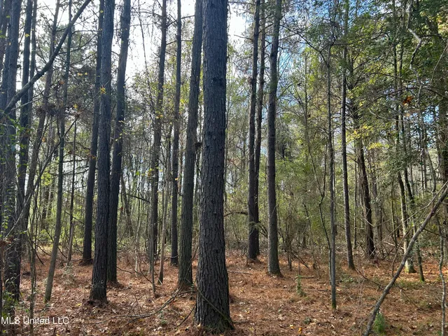 $238,200 | Watts Lane Northwest, Brookhaven, MS 39601