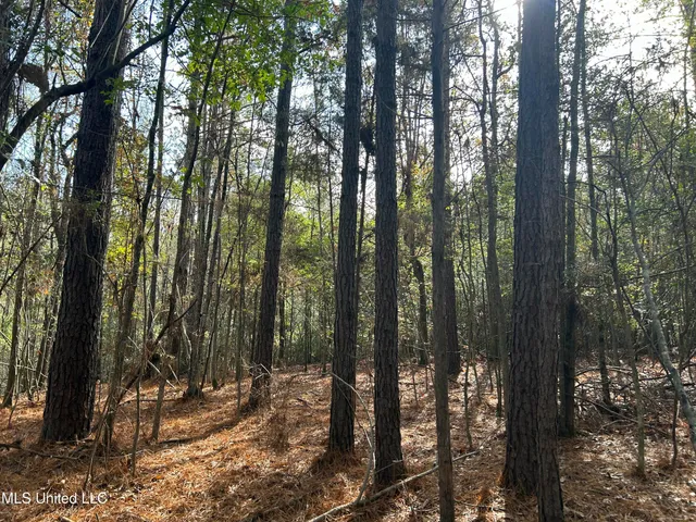 $238,200 | Watts Lane Northwest, Brookhaven, MS 39601