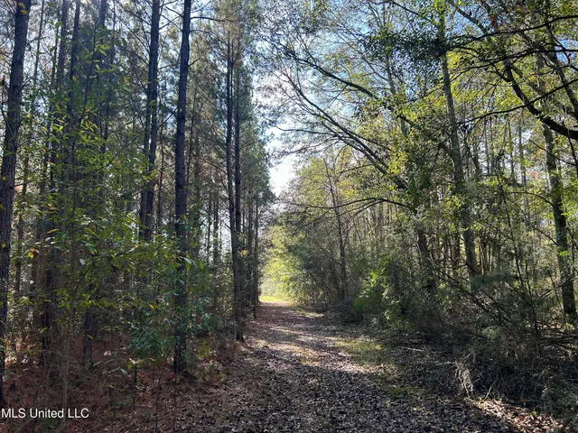 $238,200 | Watts Lane Northwest, Brookhaven, MS 39601