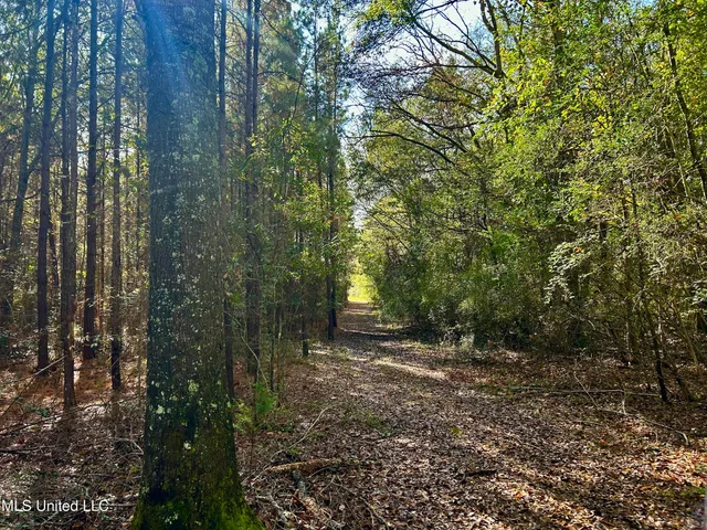 $238,200 | Watts Lane Northwest, Brookhaven, MS 39601