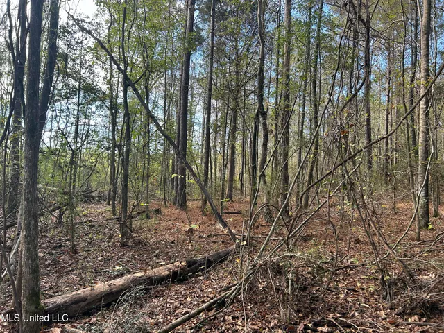 $238,200 | Watts Lane Northwest, Brookhaven, MS 39601