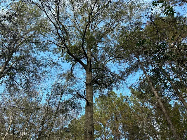 $238,200 | Watts Lane Northwest, Brookhaven, MS 39601