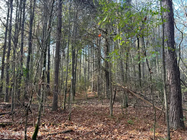 $238,200 | Watts Lane Northwest, Brookhaven, MS 39601