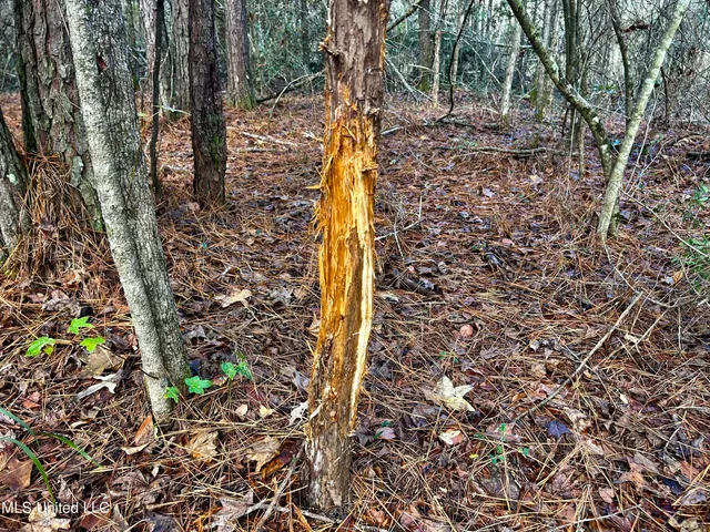 $238,200 | Watts Lane Northwest, Brookhaven, MS 39601