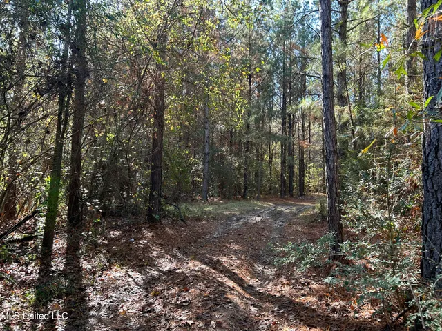 $238,200 | Watts Lane Northwest, Brookhaven, MS 39601