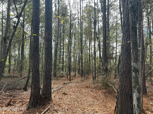 $238,200 | Watts Lane Northwest, Brookhaven, MS 39601