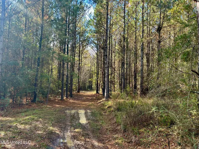 $238,200 | Watts Lane Northwest, Brookhaven, MS 39601