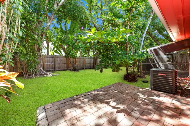 a view of a backyard with a tree