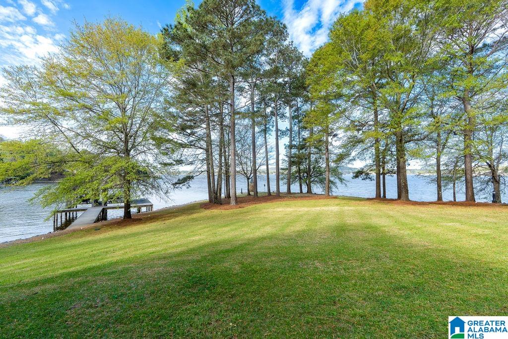 99 Waters Edge Way Alpine, AL 35014 - Photo 72 of 90