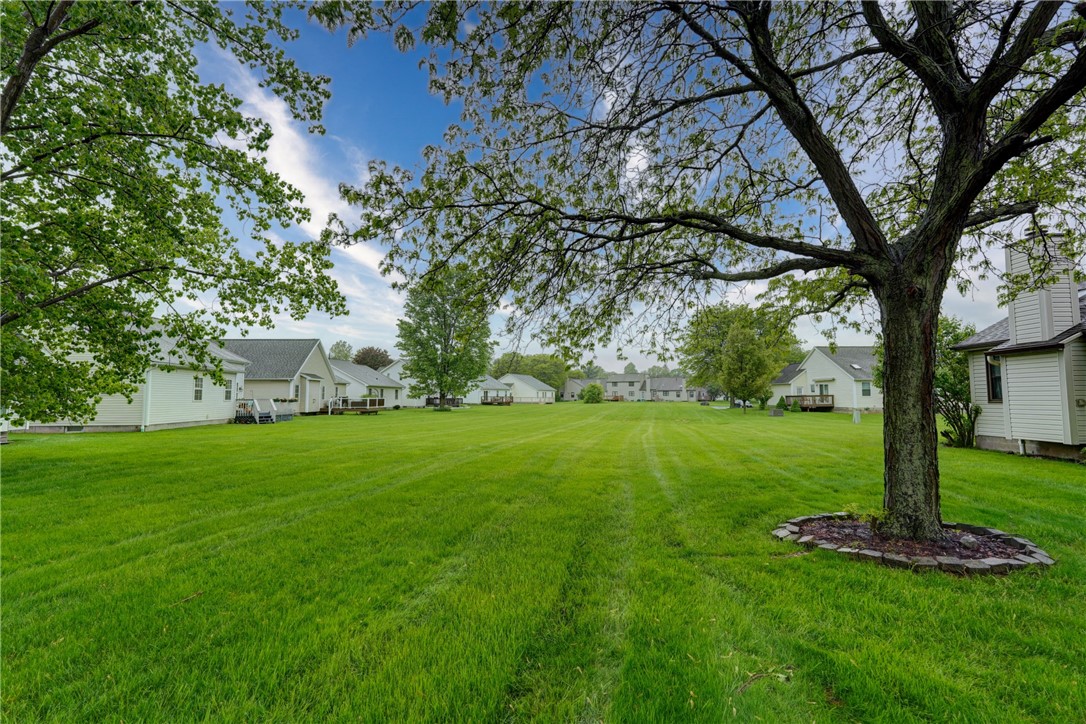 6 Daisy Lane Chili, NY 14514 - Photo 34 of 34 Plenty of green space!