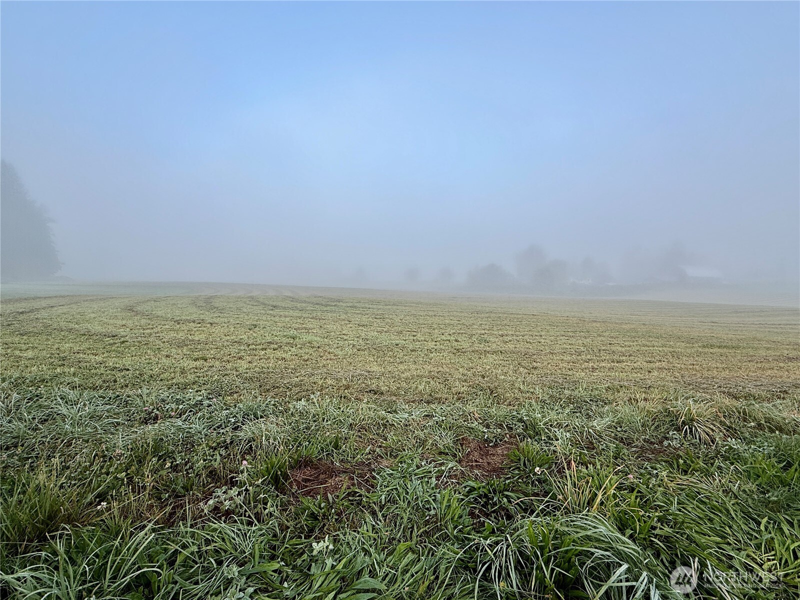 1 Fruitdale Road Sedro-Woolley, WA 98284 - Photo 1 of 5