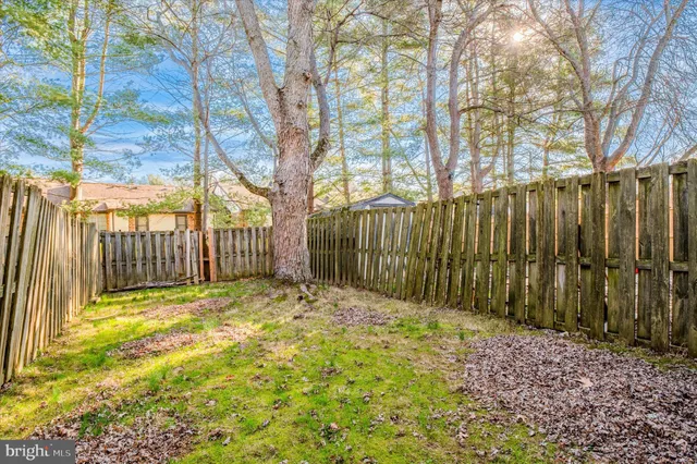 a view of backyard with wooden fence and large trees
