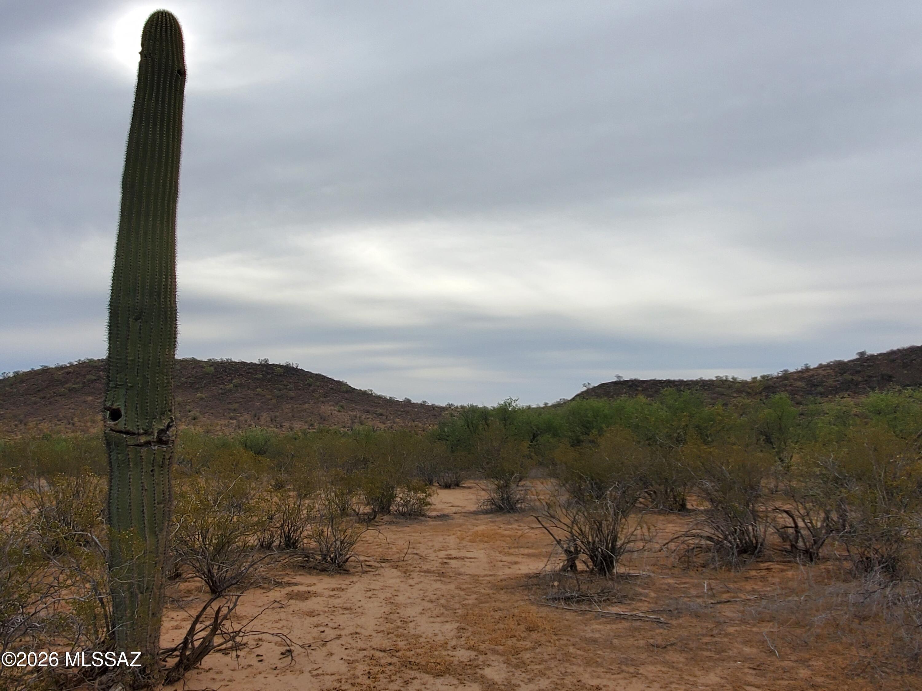 7925 South Worden Road Tucson, AZ 85735 - Photo 15 of 20 a view of a dry yard with mountain