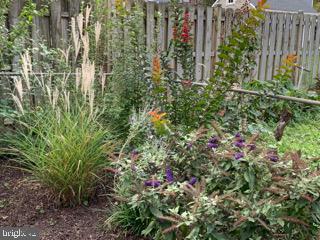 34 Belfast Road Lutherville-Timonium, MD 21093 - Photo 40 of 43 Gallery Image 40