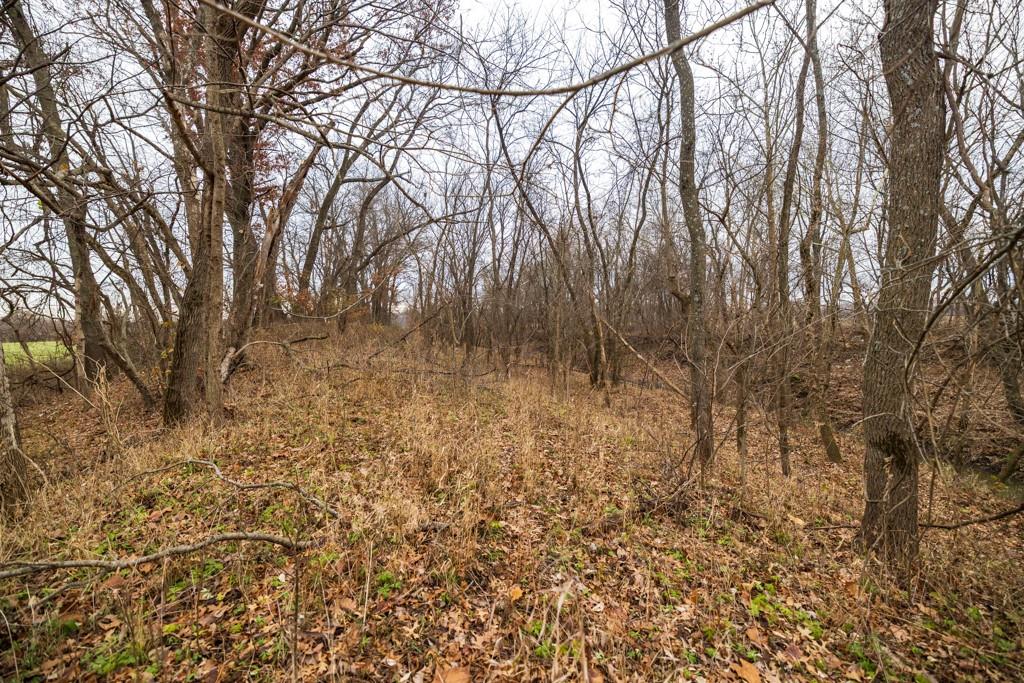 17301 Highway 2, Unit RURAL Harrisonville, MO 64701 - Photo 36 of 63