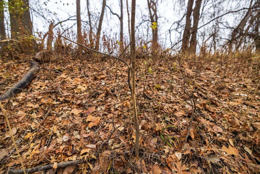 17301 Highway 2, Unit RURAL Harrisonville, MO 64701 - Photo 41 of 63