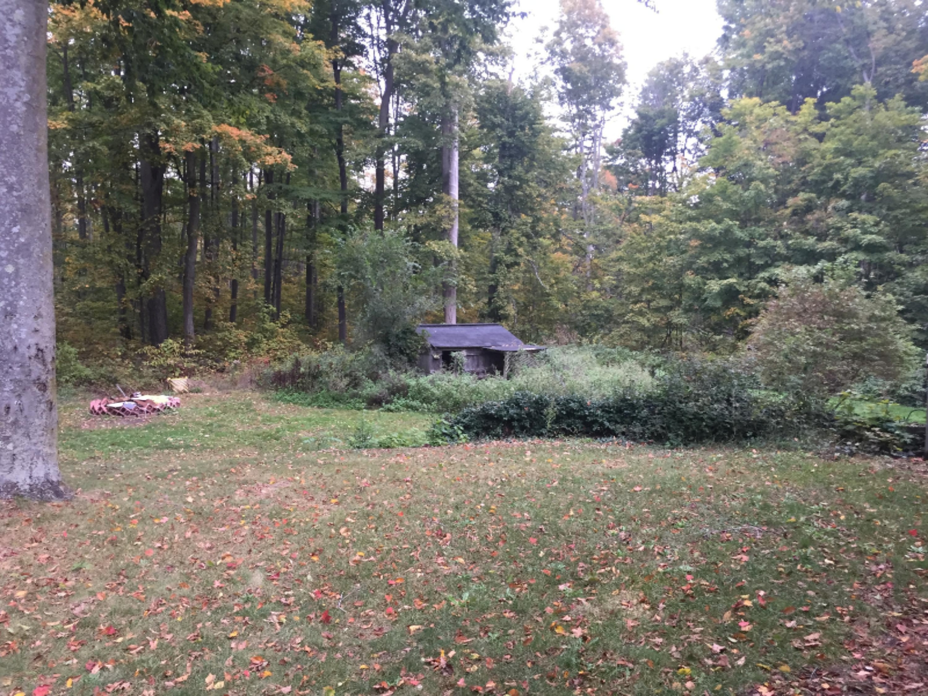 2320 West Bard Road Muskegon, MI 49445 - Photo 5 of 39 IMG_1544