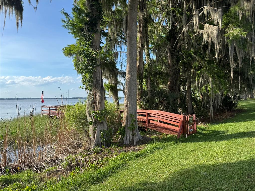 39 Forest Lane Eustis, FL 32726 - Photo 42 of 49