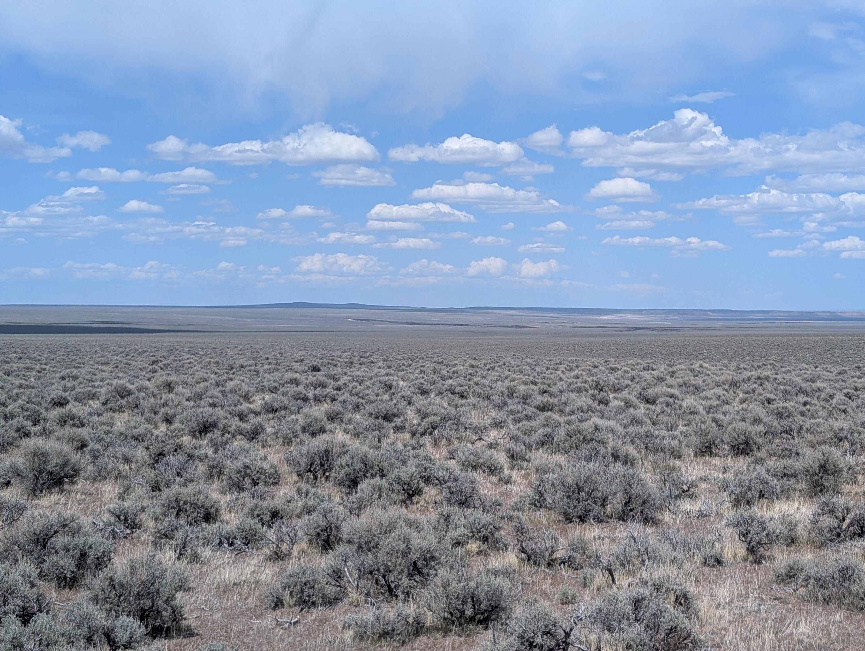 Black Canyon Road Adel, OR 97620 - Photo 5 of 10 a view of a big yard