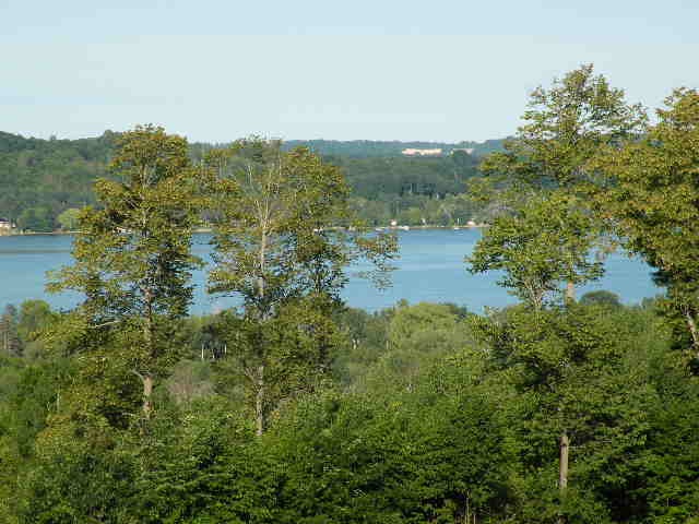 5970 Founders Ridge Bellaire, MI 49615 - Photo 2 of 15 1803596-1.JPG
