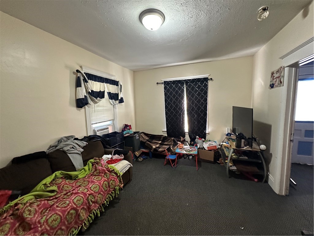 60 Masseth Street Rochester, NY 14606 - Photo 13 of 27 Lower Unit