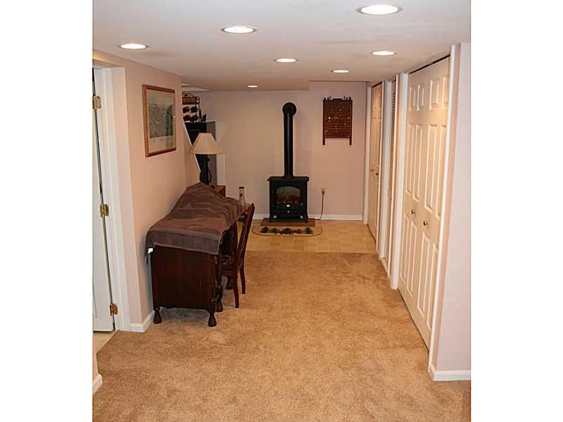 131 Orchard Spring Road Pittsburgh, PA 15220 - Photo 18 of 25 Basement/Game Room. Plenty of storage on the lower level.