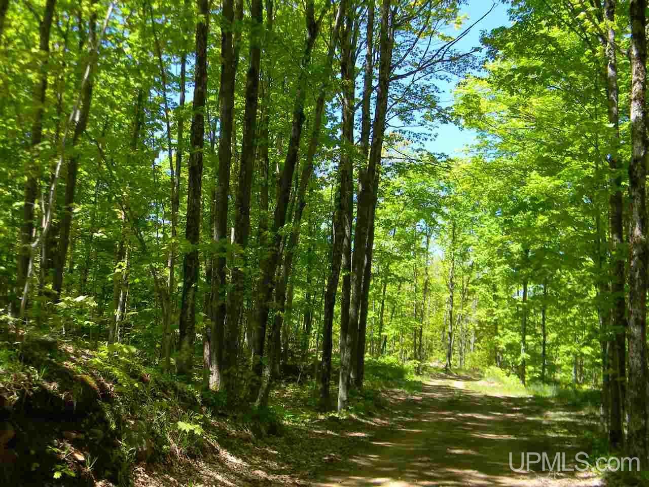 Tbd Rauhala Road, Unit LOT 4 COLES CREEK SUBDIV Atlantic Mine, MI 49931 - Photo 7 of 13